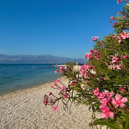 Апартаменты Mirca By The Sea Mirca (Brac)